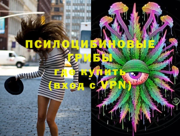 прущие крисы Новодвинск