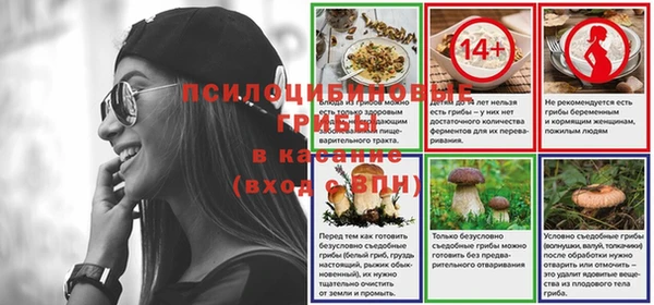 прущие грибы Нягань