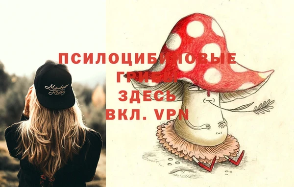 mdpv Няндома