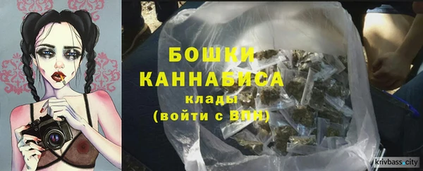 прущие грибы Нягань