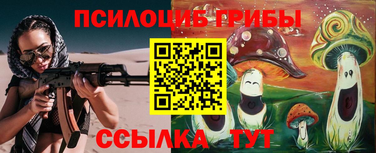 Галлюциногенные грибы Psilocybe  Большой Камень 