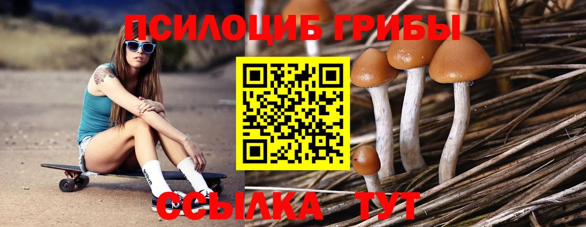Большой Камень  Галлюциногенные грибы мицелий  Вход с VPN 