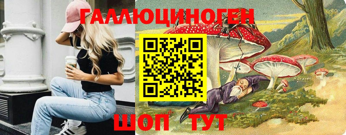 Галлюциногенные грибы прущие грибы Большой Камень